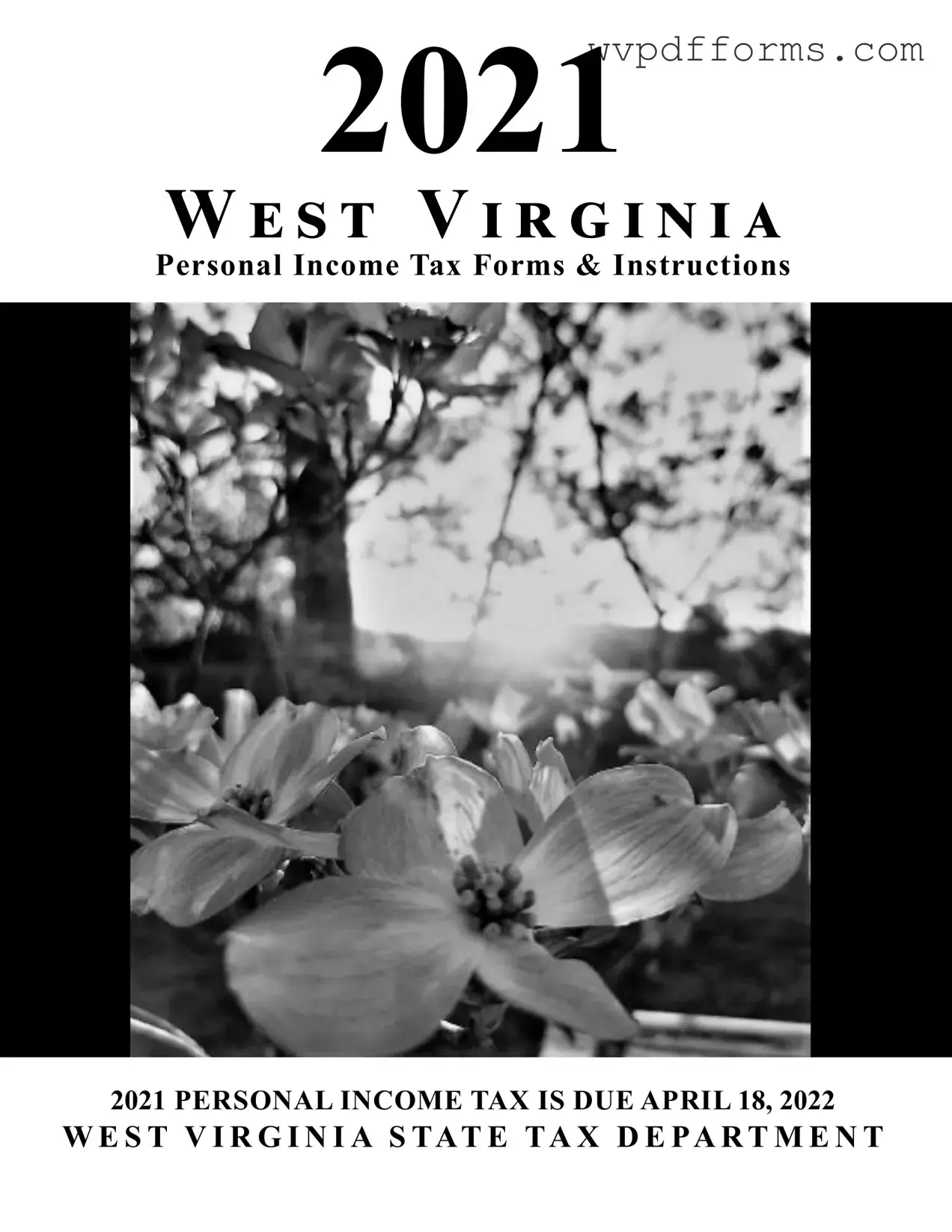 Free Wv Tax Template